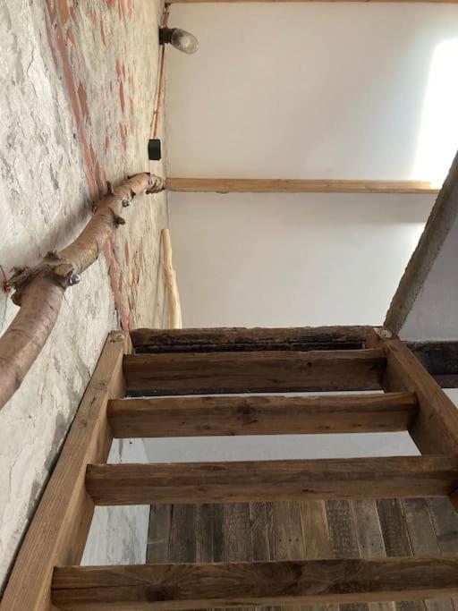Schuurloft Hof Ten Bogaerde Met Biozwembad, Veldzicht & Uilennest Jabbeke  Exterior foto