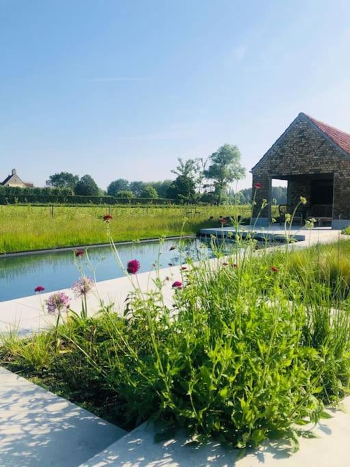 Schuurloft Hof Ten Bogaerde Met Biozwembad, Veldzicht & Uilennest Jabbeke  Exterior foto